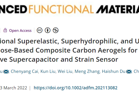 超彈、超輕、超親水的多功能CNF/CNT/RGO碳?xì)饽z！