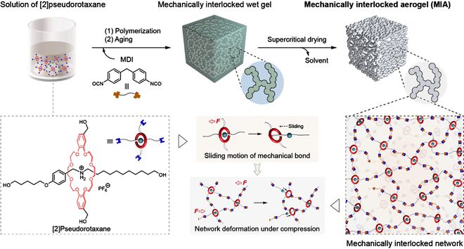 機械互鎖聚合物氣凝膠(Mechanically interlocked aerogel, MIA)的設計構(gòu)筑。